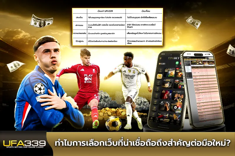 ทำไมการเลือกเว็บที่น่าเชื่อถือถึงสำคัญต่อมือใหม่